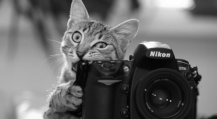 60eef3121f374.jpg 7.jpg