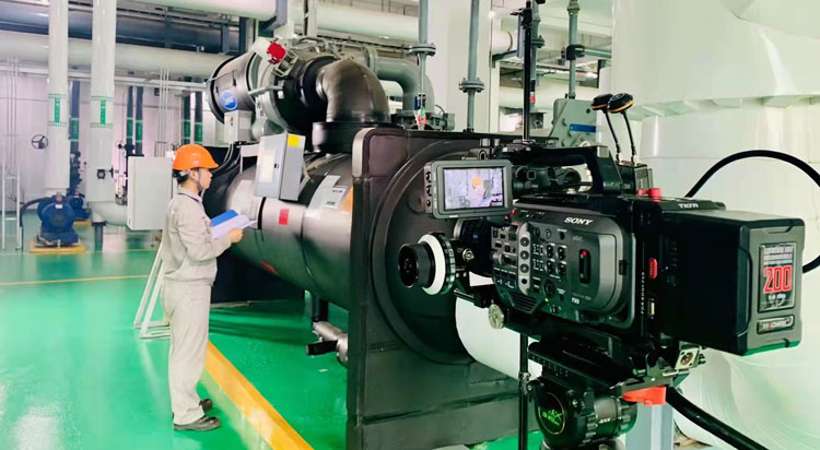 61487f4db65b9.jpg 1.jpg