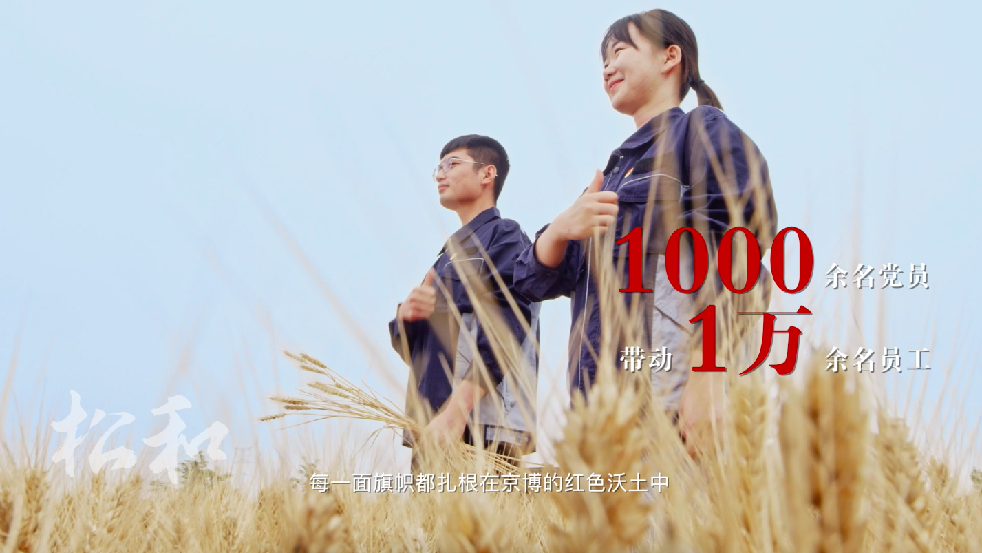 京博党建宣传片.png